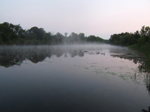 Mist on Canal