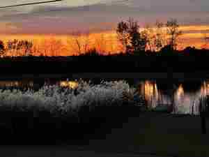 sunset