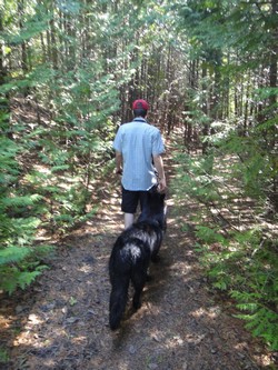 Peterborough Liftlocks trail in woods